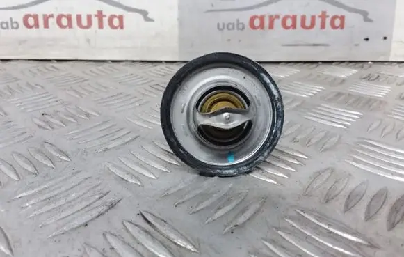 Ford Galaxy Thermostat/thermostat housing 044121113R7 118687B