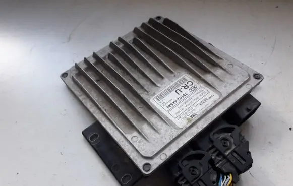 KIA Carnival Engine control unit/module 391024X520