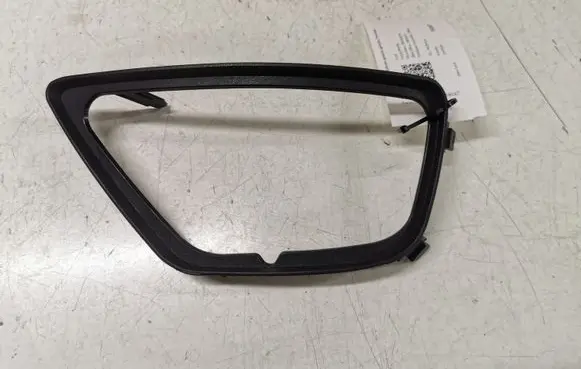 Front fog light trim/grill