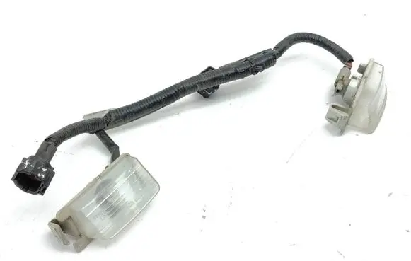 Nissan 370Z Number plate light 1090038 62457 DOTSAEE01