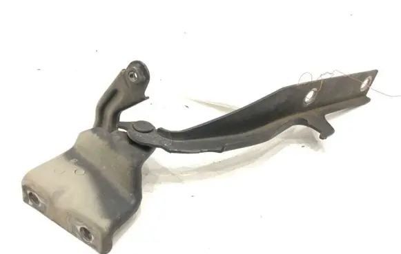 Engine bonnet/hood hinges