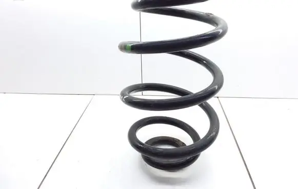 Volkswagen PASSAT B5.5 Rear coil spring