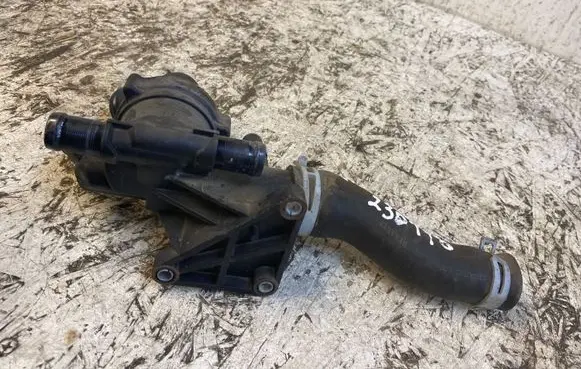 Thermostat/thermostat housing