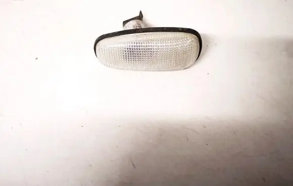 Front fender indicator light