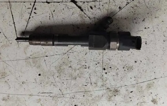 Suzuki Grand Vitara II Fuel injector 0445110230