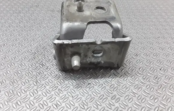 Citroen C3 Picasso Front door lower hinge 