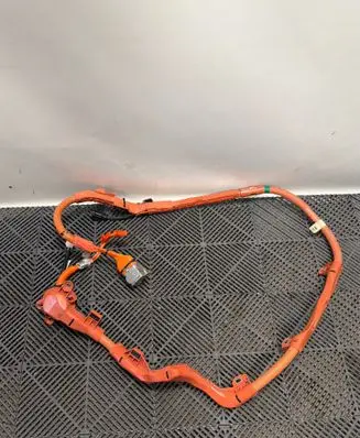 Lexus ES 300h (7th Gen) Other wiring loom 821H133030