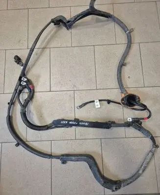Other wiring loom