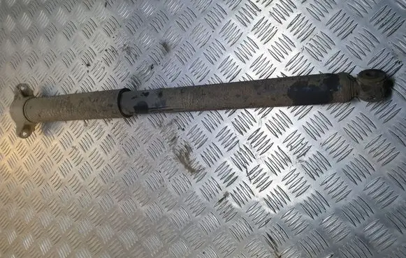 Ford C-MAX II Rear shock absorber/damper AV6118080AAF