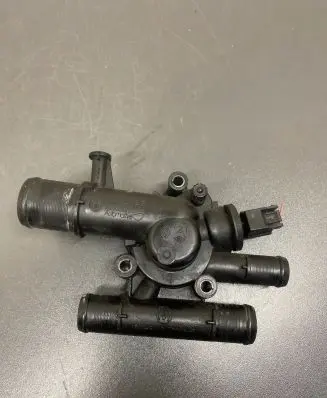 Thermostat/thermostat housing