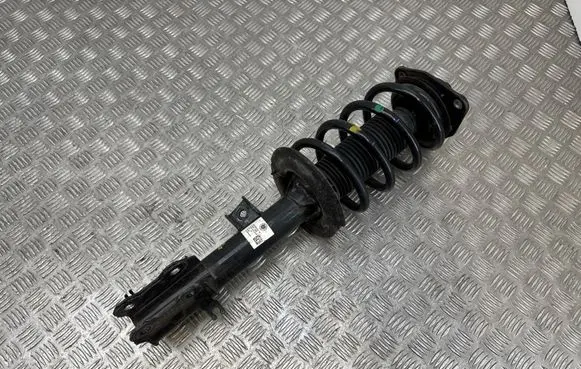 Fisker Ocean Front shock absorber with coil spring FM2920200077B
