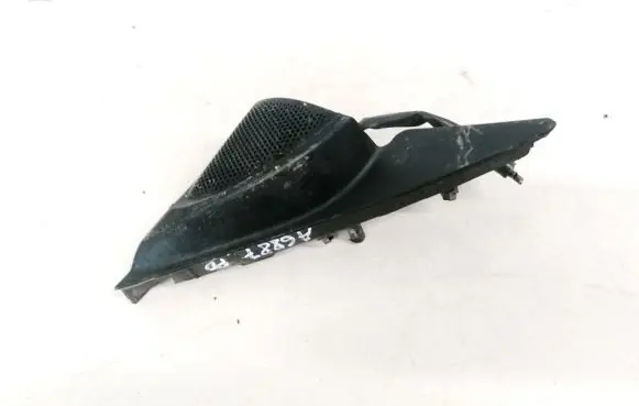 Side speaker trim/cover