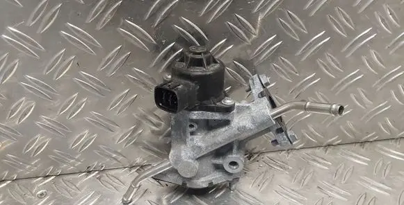 EGR valve