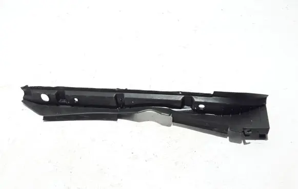 Engine bonnet/hood lock trim molding