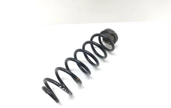Skoda Roomster (5J) Rear coil spring