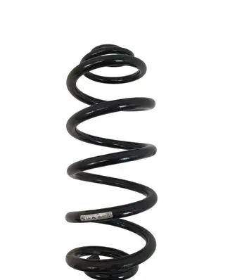 Rear coil spring