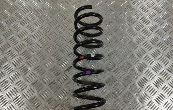 Ford Kuga II Rear coil spring