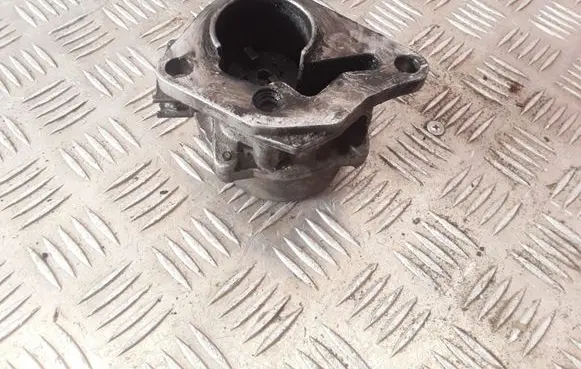 Renault Kangoo I Vacuum pump