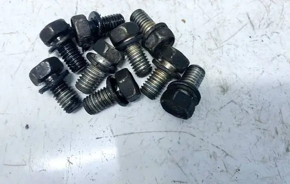 Nissan X-Trail T30 Nuts/bolts 
