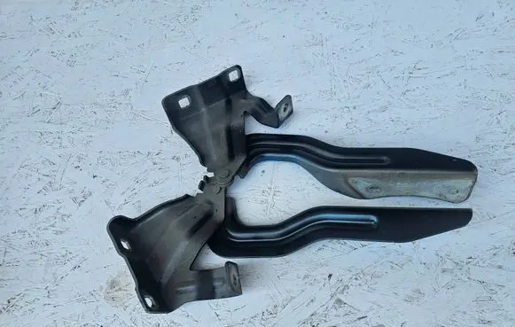 Nissan Qashqai Engine bonnet/hood hinges 4EAL4EAR