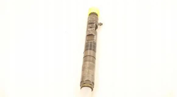 Renault Megane II Fuel injector EJBR02101Z