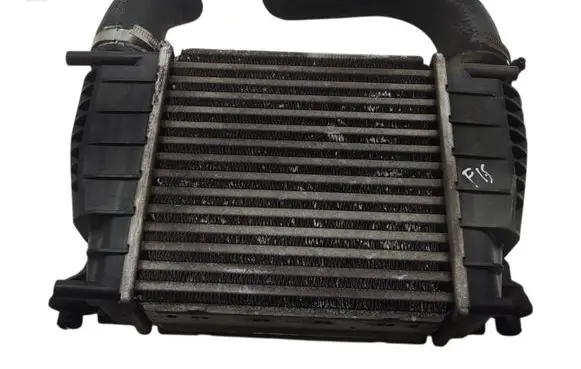 Nissan Juke I F15 Intercooler radiator 14461EM00A