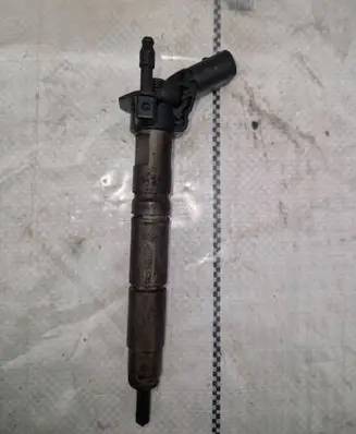 Jeep Grand Cherokee (WK) Fuel injector A642070