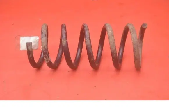 Rear coil spring