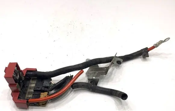 Nissan Juke I F15 Positive cable (battery) 