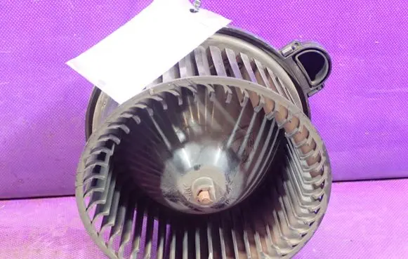 Heater fan/blower