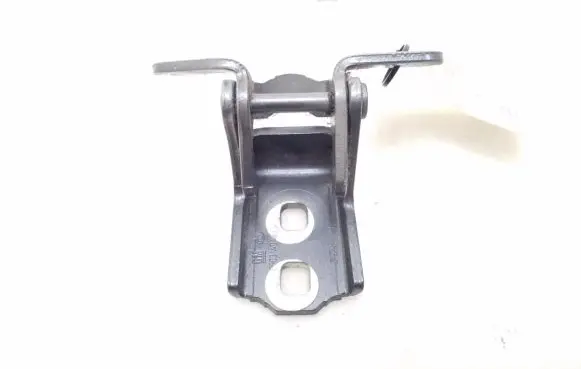 Rear door lower hinge