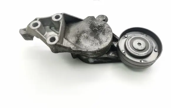 Seat Toledo II (1M) Alternator belt tensioner 950434