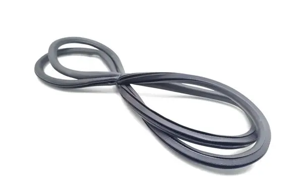 Opel Insignia B Front door rubber seal 