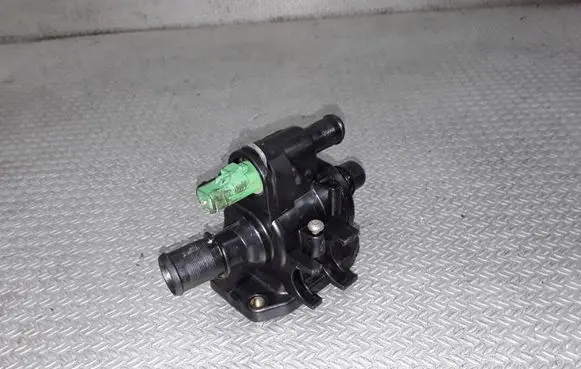 Thermostat/thermostat housing