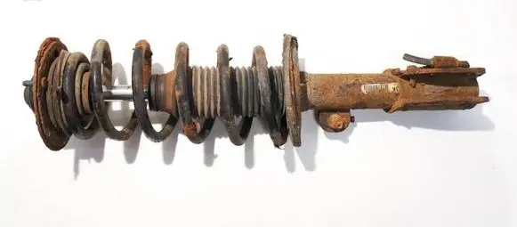 Chevrolet Captiva Front shock absorber/damper