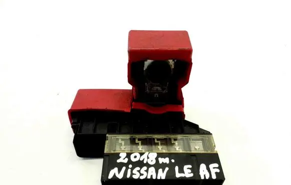 Nissan Leaf II (ZE1) Positive cable (battery) 