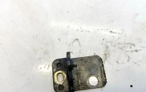 Skoda Superb B5 (3U) Rear door lower hinge