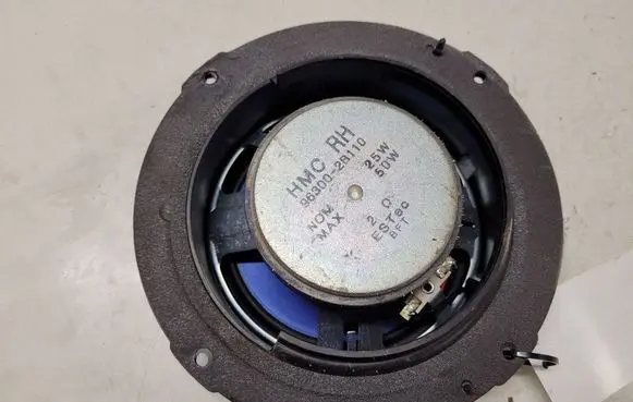 Hyundai Santa Fe Rear door speaker 963002B110