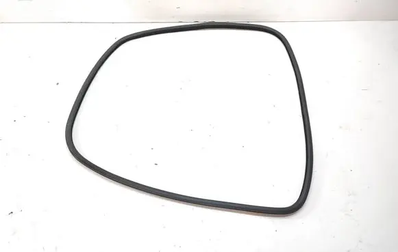 BMW 5 F10 F11 Rear door rubber seal (on body) 7182208