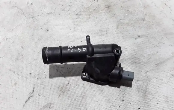 Thermostat/thermostat housing