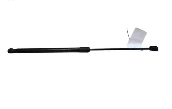 Tailgate/trunk strut/damper