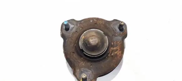 Coil spring mount