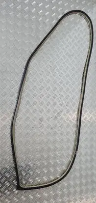 Nissan Murano Z51 Front door rubber seal