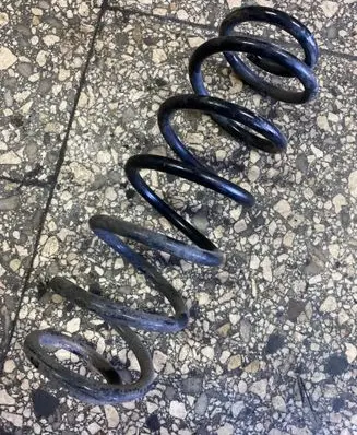 Rear coil spring
