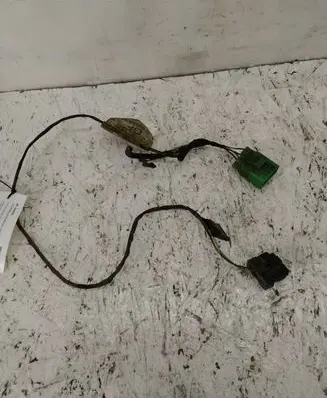 Other wiring loom