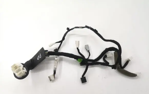 Front door wiring loom
