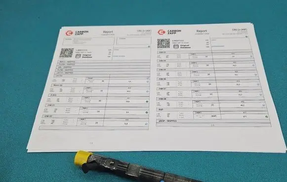 Renault Modus Fuel injector EJBR05101D IMPRK1549361