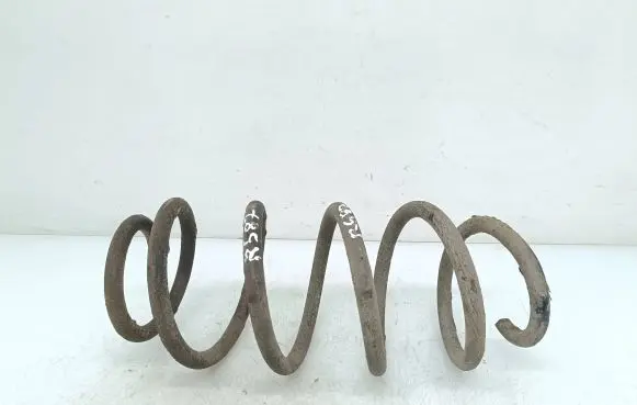 Front coil spring