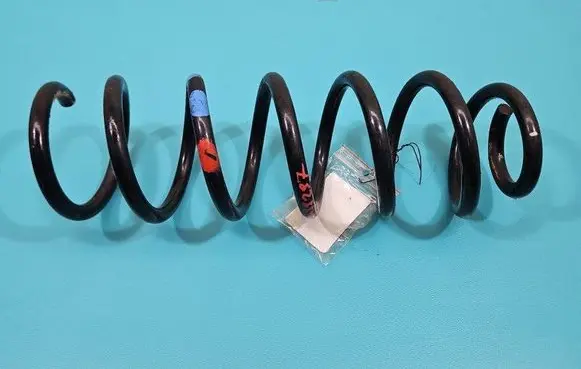 Rear coil spring