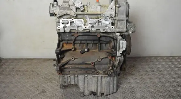 Skoda Octavia Mk2 (1Z) Engine CAX